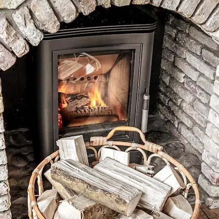 Albatros Knus Op Texel *