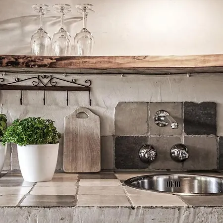 Albatros Knus Op Texel