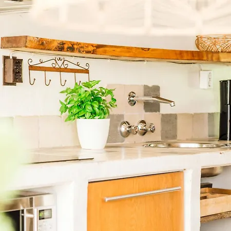 Albatros Knus Op Texel Vakantiehuis *