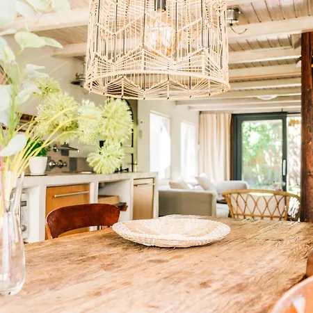 Vakantiehuis Albatros Knus Op Texel *